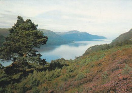 AK 173555 SCOTLAND - Loch Ness From The South Road Near Fort Augustus - Inverness-shire