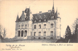 BELGIQUE - Vallée De La Meuse - Chateau D'hestroy A Mont Sur Godinne - Nels - Carte Postale Ancienne - - Andere & Zonder Classificatie