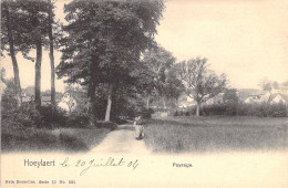 BELGIQUE - Hoeylaert - Paysage - Nels - Carte Postale Ancienne - - Altri & Non Classificati