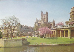 AK 173593 ENGLAND - Bath - The Abbey And Parade Gardens - York