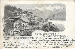 BEATENBERG - Hotel  EDELWEISS Et Chalet Alpenblick - Beatenberg