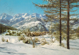 CARTOLINA  SAUZE D'OULX M1510,TORINO,PIEMONTE-PANORAMA-VACANZA,MONTAGNA,LA NEVE,SCIARE,BELLA ITALIA,VIAGGIATA 1976 - Castello Del Valentino