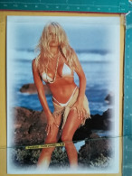 KOV 21-8 - EROTIC, EROTIQUE, EROTISCH, SEXY, NUDE, FINE NUDES, CHICO, FILLE WOMAN, GIRL,  PAMELA ANDERSON - Pin-Ups