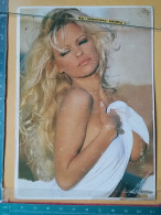 KOV 21-8 - EROTIC, EROTIQUE, EROTISCH, SEXY, NUDE, FINE NUDES, CHICO, FILLE WOMAN, GIRL,  PAMELA ANDERSON - Pin-Ups