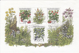 SLOVAKIA Block 14,used,falc Hinged,fruits - Blocks & Sheetlets