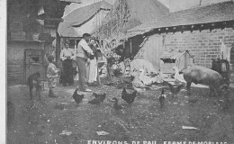 Ferme De MORLAAS (Pyrénées-Atlantiques) - Cochon, Oies, Poules - Environs De Pau - Morlaas