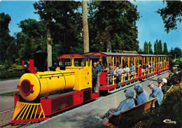 Orléans * Le Petit Train , Parc Floral De La Source * Ligne Chemin De Fer - Orleans