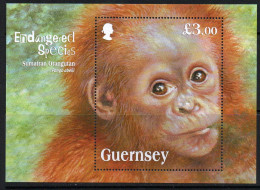 Guernsey 2014 Endangered Species X, Sumatran Orangutan MS, MNH, SG 1503 - Guernesey