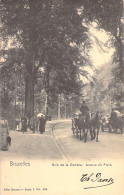 BELGIQUE - Bruxelles - Bois De La Cambre - Avenue De Flore - Nels - Carte Postale Ancienne - - Forêts, Parcs, Jardins