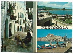 CALLE TIPICA, JARDINES DEL CASTILLO, PLAYA Y MUELLES.-  PEÑISCOLA/ CASTELLON.- ( ESPAÑA ) - Castellón