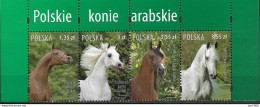 2007  Polen Mi. 4323-6 **MNH  Araberpferde. - Ungebraucht