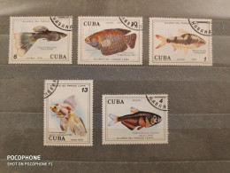 1978	Cuba	Fishes (F60) - Oblitérés