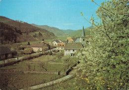 St Martin * Le Château De Honcourt Et Le Village De Maisonsgoutte - Otros & Sin Clasificación