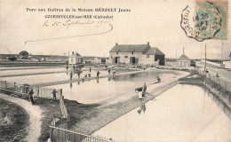 Courseulles Sur Mer * Le Parc Aux Huîtres De La Maison HEROULT Jeune * Ostréiculture - Courseulles-sur-Mer