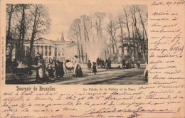 BELGIQUE - Bruxelles - Le Palais De La  Nation Et Le Parc - Carte Postale Ancienne - Forêts, Parcs, Jardins