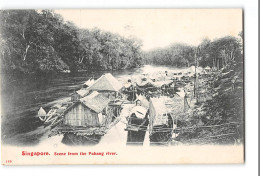 CPA Singapour Scene From The Pahang River  - Singapur