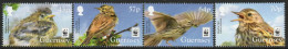 Guernsey 2017 Endangered Species, Meadow Pipit Bird Set Of 4, MNH , SG 1651/4 - Guernesey