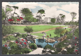 Saint-Helier - Ile De Jersey - Royaume-Uni - Howard Davis Park - Belle Carte Colorisée - St. Helier