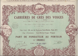 CARRIERES DE GRES DES VOSGES -ST DIE DES VOSGES - RARE PART DE FONDATEUR ILLUSTREE  -ANNEE 1928 - Bergbau