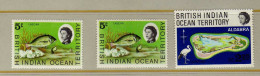 BIOT - 1968-69 - Poisson - Carte  - Neufs** - MNH - Brits Indische Oceaanterritorium