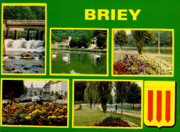 BRIEY        ( MEURTHE ET MOSELLE )    PLAN D ' EAU - Briey