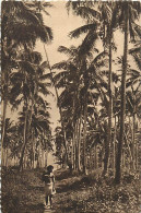 Gd Format Div-(env 14cms X 9,5cms )-ref AD121-missions - Mission Maristes D Oceanie - Paysage Samoan - - Missions