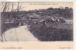 Portugal - Postal De Rio Maior + 3 Comerciais - Santarem