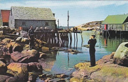 AK 173844 CANADA - Nova Scotia - Peggy's Cove - Altri & Non Classificati