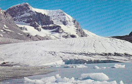 AK 173852 CANADA - Alberta - The Columbia Icefields - Altri & Non Classificati
