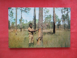 Black Americana     Gathering Pine Gum. Georgia           Ref 6231 - Negro Americana