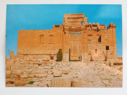 Syria Paimyra Temple      A 224 - Syrie