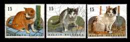 - Chats - 1993 - BELGIQUE - N° 2521 / 24 - ** - Manque 2523 - Chats Domestiques