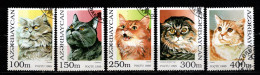 - Chats - 1995 - AZERBAYCAN - N° 234 / 239 - Oblitérés - Manque 239 - Chats Domestiques