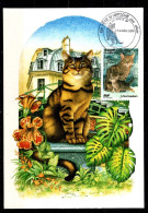 - Chats - 1999 - FRANCE - Carte Postale Avec N° 3284 - Oblitéré - Chats Domestiques