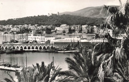 ESPAGNE - Mallorca - Palma - Vista Parcial Del Puerta Desde La Lonja - Carte Postale Ancienne - Mallorca