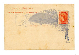 Brasil,  Illustrated Postal Stationery Postcard Bilhete Postal Unused  ( 2 Scans ) - Entiers Postaux