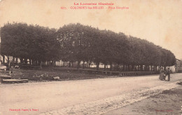 FRANCE - Colombey Les Belles - Place Dauphine - Carte Postale Ancienne - Colombey Les Belles