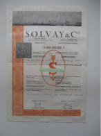 Solvay Et Cie - Certificat De 4 Actions - 1973 - Industrie