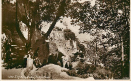 United Kingdom England Kent Folkestone Zig Zag Path - Folkestone