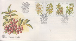 BOPHUTHATSWANA FDC 1980 FLEURS - Bophuthatswana