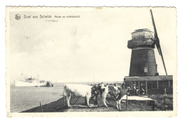 ****  DOEL Aan Schelde  ****  -   Molen En Scheldezicht   -   Zie / Voir / Scan's - Beveren-Waas