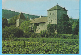 Gevrey-Chambertin (Côte D'Or)-Le Vieux Château Médiéval Du XIe Siècle Entouré De Vignes-Grand Vin De Bourgogne- - Gevrey Chambertin