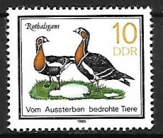 DDR - MNH ** 1979 : Red-breasted Goose  - Branta Ruficollis - Oche