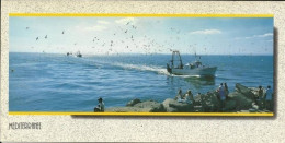 0351- CPM - MEDITERRANEE - Retour De La Pêche - Bateaux De Pêche - Mouettes - 1 - Languedoc-Roussillon