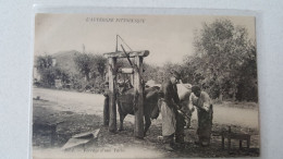 Auvergne Pittoresque ,  1051 Ferrage D'une Vache - Auvergne