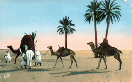 ALGÉRIE - Scènes Et Types - Au Désert - Chameaux - Colorisé - Carte Postale Ancienne - Scènes & Types