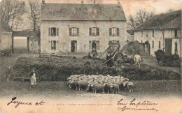 78 - MAULE _S23985_ Ferme De Bois Henri - Intérieur - Agriculture - En L'état - Maule