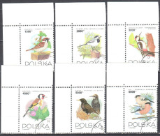 Poland 1993 Birds Mi 3458-63 - Used Gestempelt - Usados