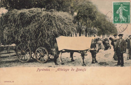 France - Pyrénées - Attelage De Boeufs - Oblitéré 1909  - Carte Postale Ancienne - Autres & Non Classés