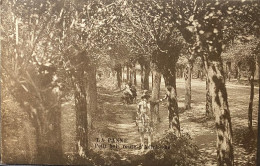 De Panne Route D’Adinkerke Dan Le Bois - De Panne